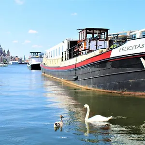 Felicitas Botel